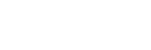 Damerx company